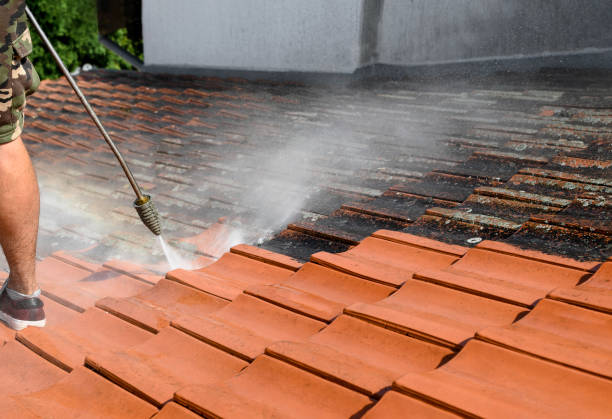 Best Best Pressure Washing Companies  in Williston Highlands, FL