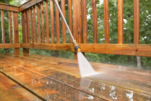 Best Affordable Pressure Washing  in Williston Highlands, FL