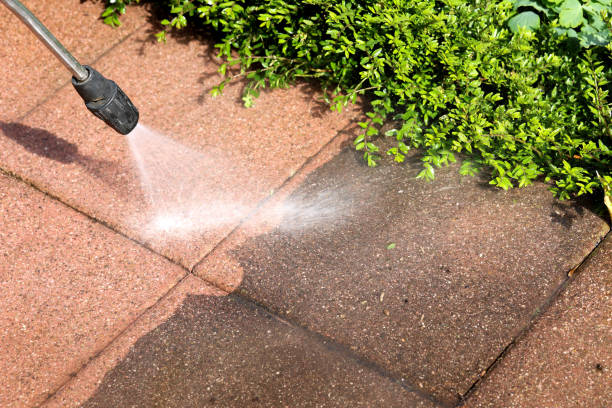 Why Choose Our Certified Pressure Washing Experts for Your Project Needs in Williston Highlands, FL?